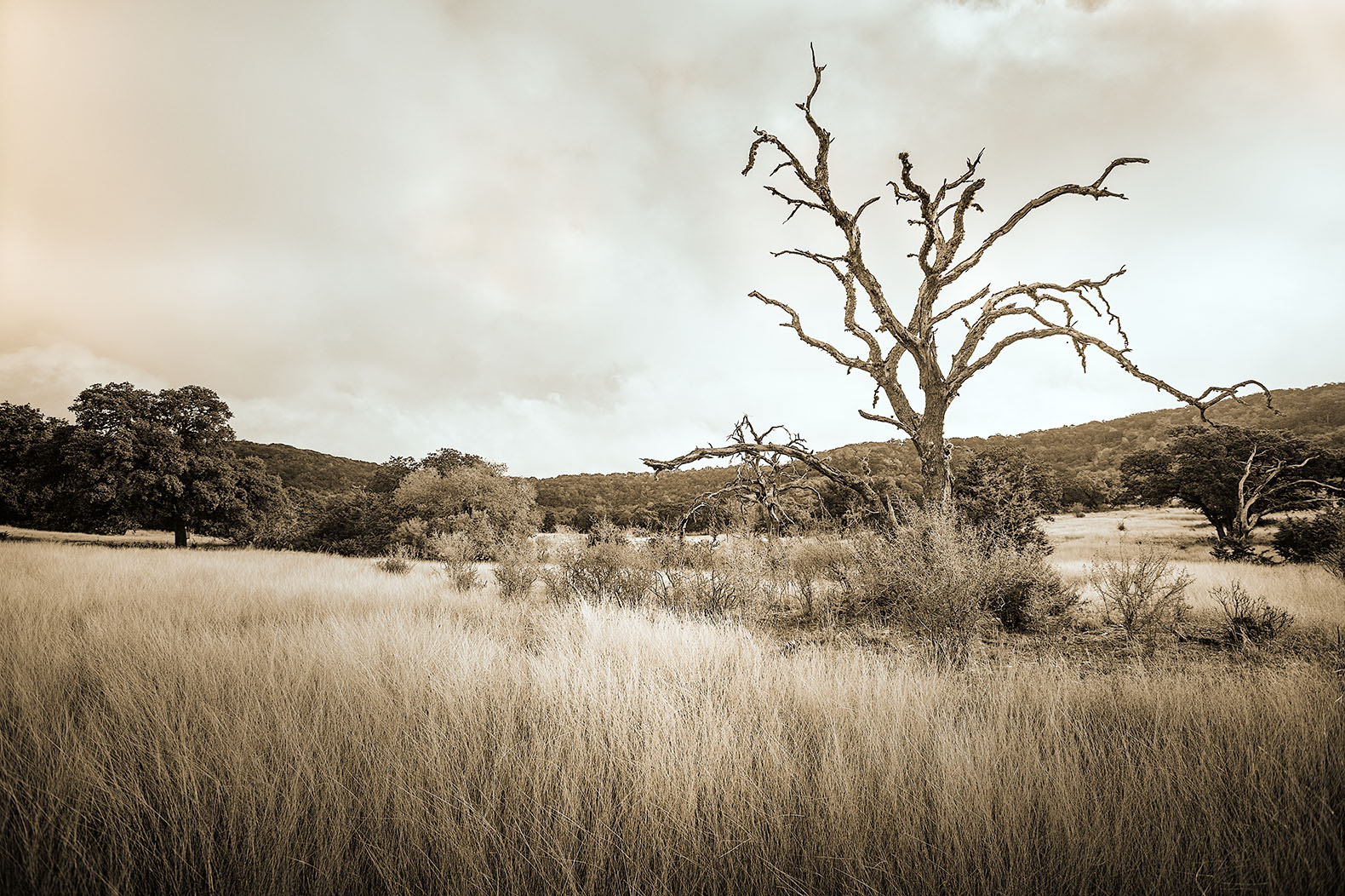 Texas Hill Country