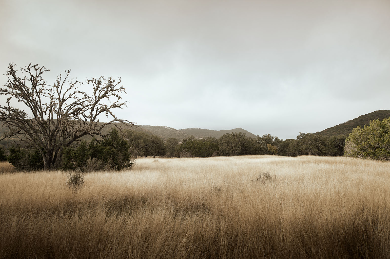 Texas Hill Country