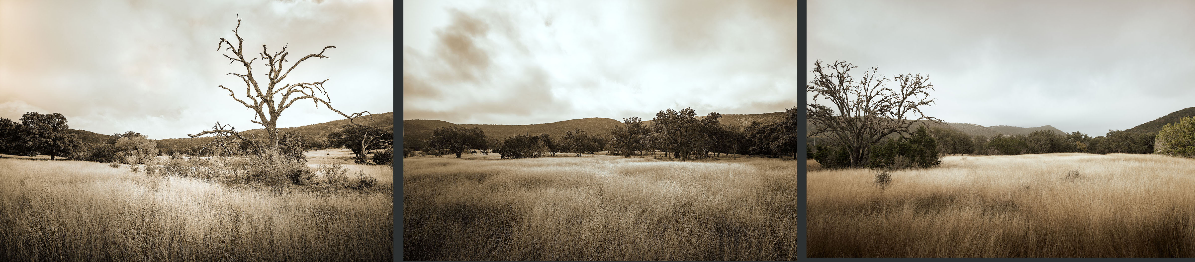 Trip Texas Hill Country